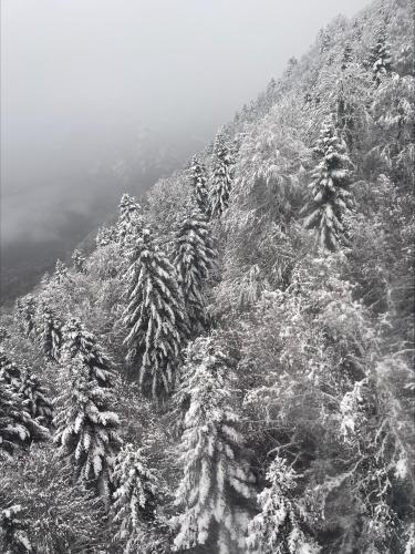 Gites au pied des montagnes et près des stations de ski - Location saisonnière - Chaum