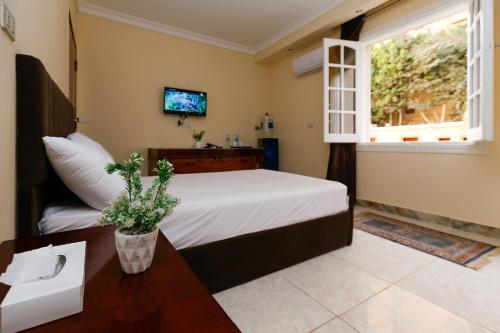 Turquoise Pyramids palace Room Type - Double or Twin Room with Garden View