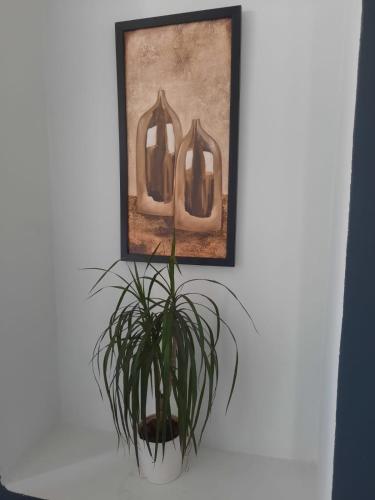 Cihangir House 2 - main image