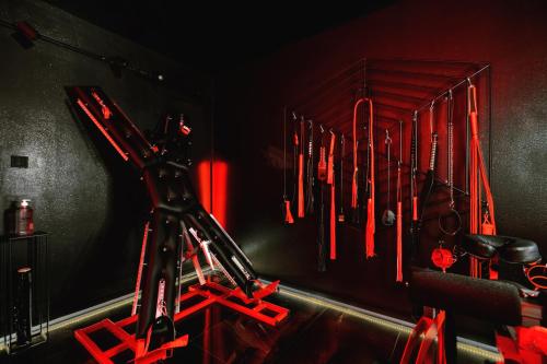 World Of Ecstasy - Apartament BDSM