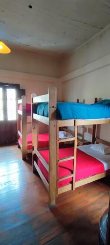 Flying Dog Hostel Arequipa