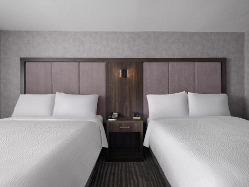 Standard Queen Room with Two Queen Beds image 6