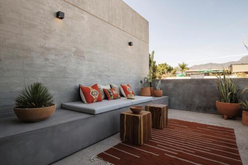 532132374 Macondo Arte Oaxaca