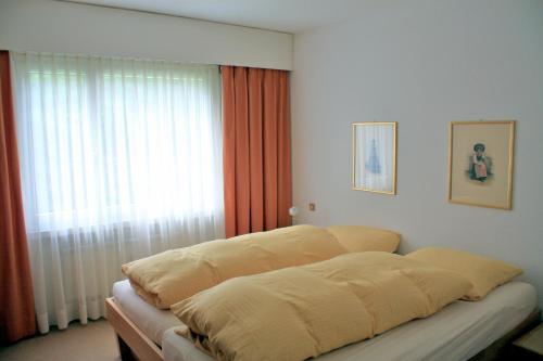 Apartment Scuol