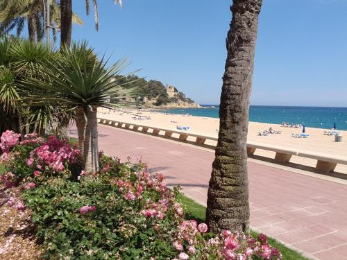 Manuela Beach City - image 11