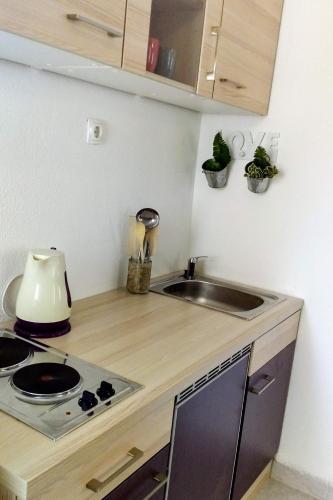 One-Bedroom Apartment with Terrace image 5