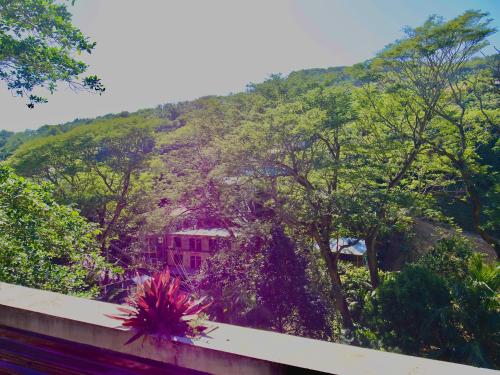 Roatan’s green view getaway.