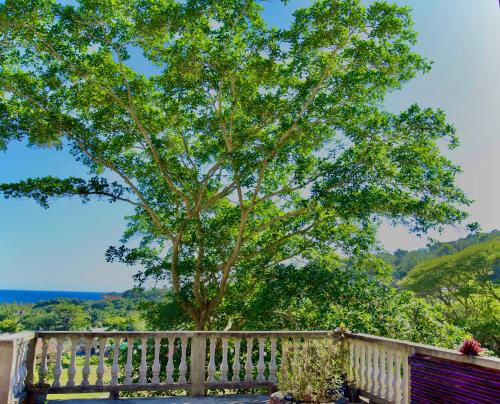 Roatan’s green view getaway.