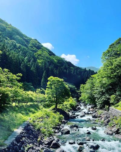 Accommodation in Shisō-shi