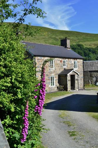 The Firecat Country House Guesthouse - image 13