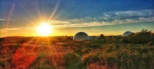 Geodome with sea views near Pendine