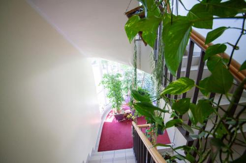 Hotel und Appartementhaus Rheden in 格林尼克橋