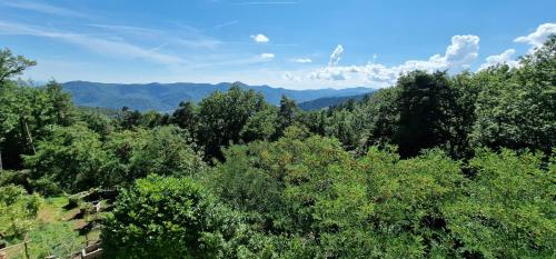 La Villa du Parc - Vosges & Alsace - Location saisonnière - Niedermorschwihr