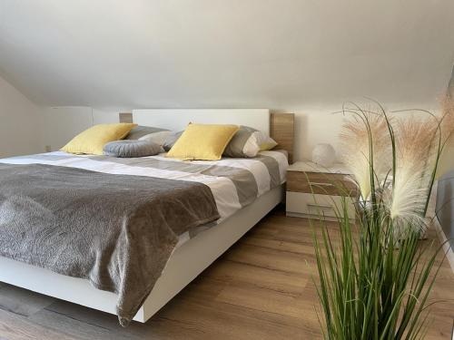 Ferienwohnung am Goldberg
