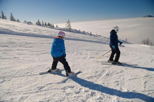 Chalet Košutnik Velika planina