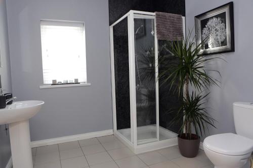 Causeway B&B - image 6