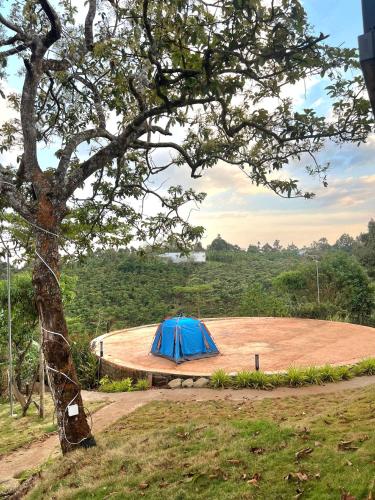 The Homilá Bảo Lộc - Hill View Bungalow & Glamping