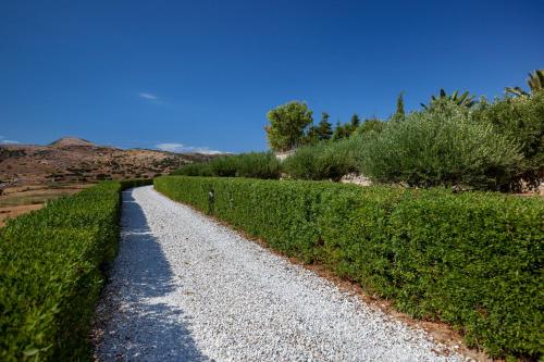 Villa Casa Del Sol Syros