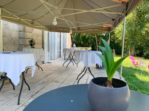 花園, Château de Lagravade - Appartement 2 chambres - 3eme étage (Chateau de Lagravade - Appartement 2 chambres - 3eme etage) in 阿斯塔福爾