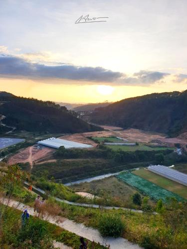 Tuyên Chiến Home & Resort
