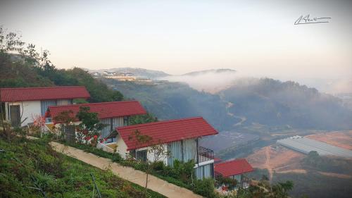 Tuyên Chiến Home & Resort