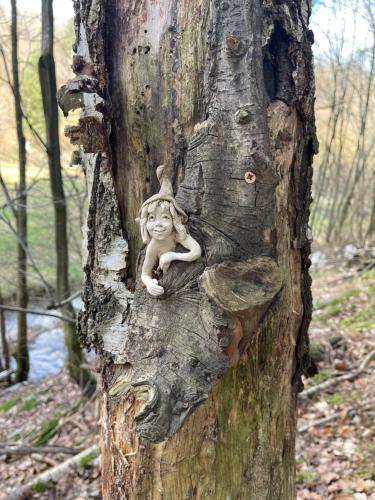 Am Apfelbaum, ein Ferienhaus zwischen Rhein und Mosel