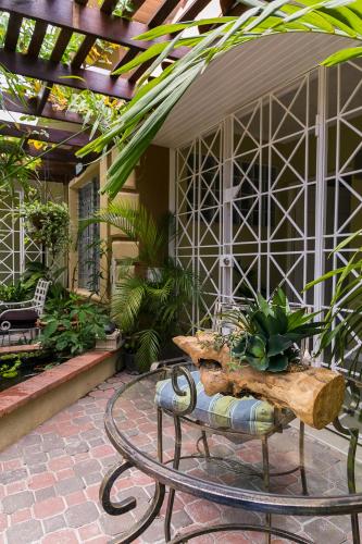 Botanic Bliss Living in Kingston in แคมเพอร์ดาวน์