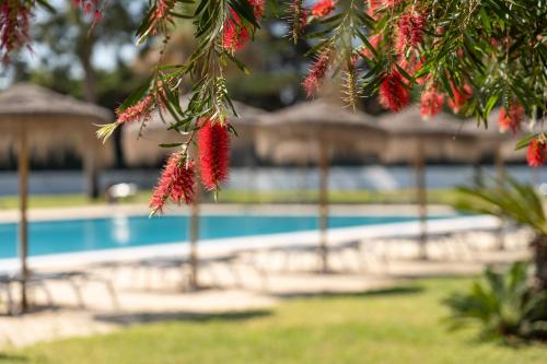 VILA PARK Nature & Business Hotel - image 14