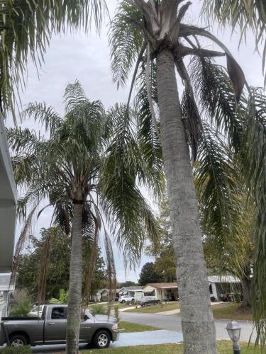 Hilton Head Blvd - Golf Course View