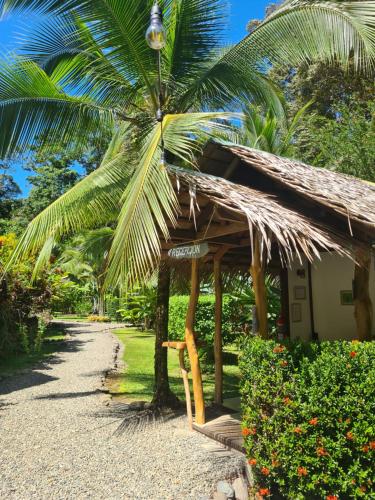 La Rana De Cahuita