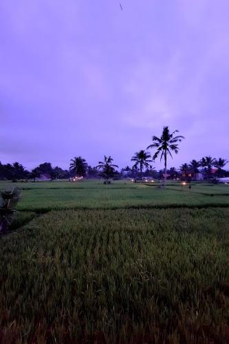 Lumbung Langit Bali house & hostel