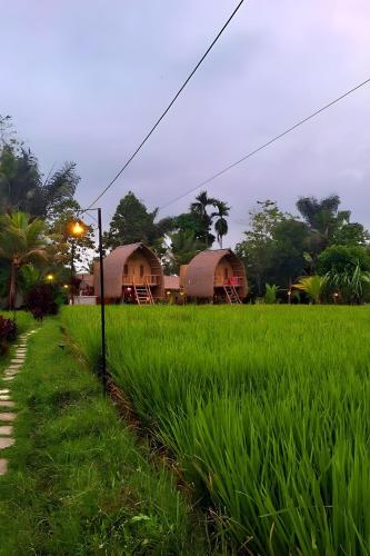 Lumbung Langit Bali house & hostel