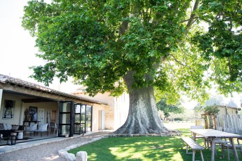 Mas d images styled by Scapa Home Mas d images styled by Scapa Home