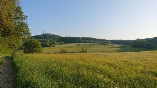 Apkārtne, Ferienwohnung Am Hochkelberg in Bereborn