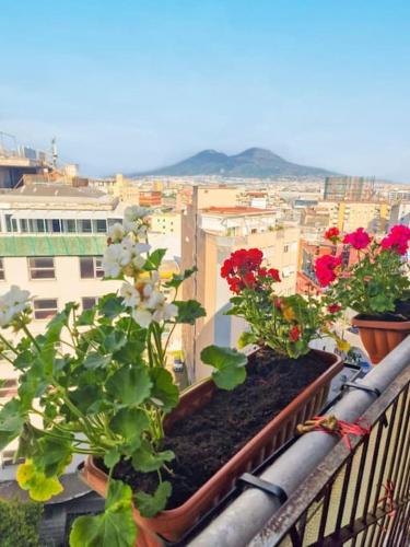 Central Station Private Apartment, Naples (photo 10)