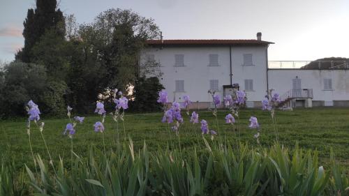 Borgo Iris