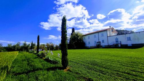 Utvendig, Borgo Iris - Wine Farm in Cortona in Centoia