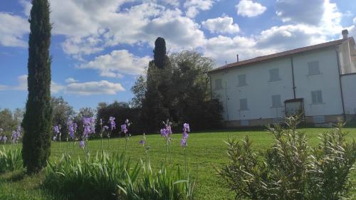 Utvendig, Borgo Iris - Wine Farm in Cortona in Centoia