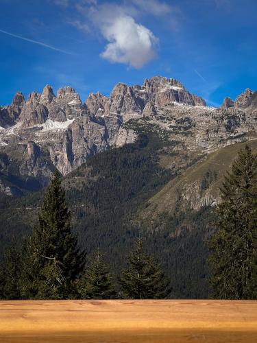 Andalo Mountain L'Abete Dolomites