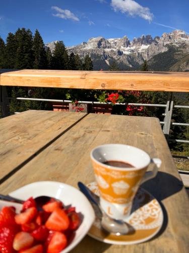 Andalo Mountain L'Abete Dolomites