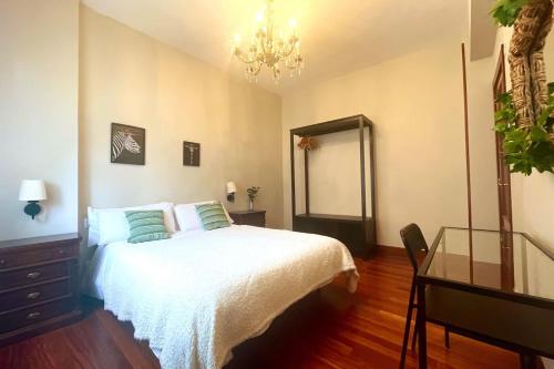 Casa PilarCasco Viejo Wifi, Bilbao (fotografie 4)