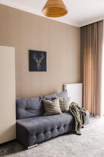 1 double bed, 1 sofa bed