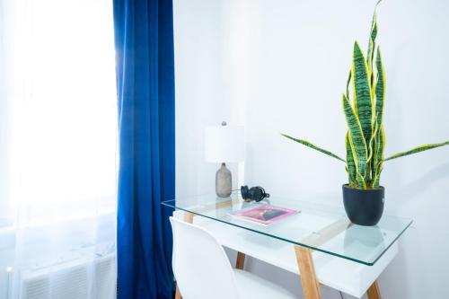 Apartment image 10