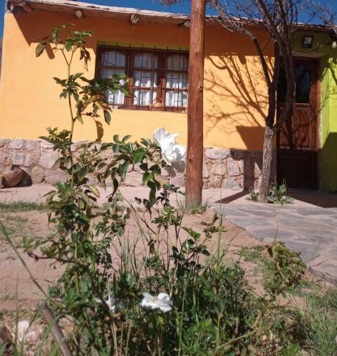 La Casita de la Abuela Huacalera - Quebrada de Humahuaca