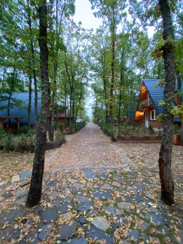 STANET Forest Houses