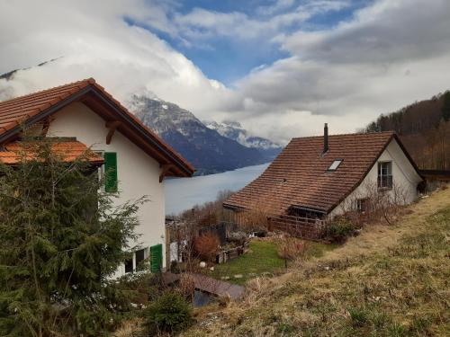 Apartment Panorama am Walensee in Neubau-Villa