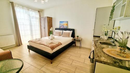 KYD VILA - Studiouri si Apartamente la 100m de Plaja Debarcader - image 5