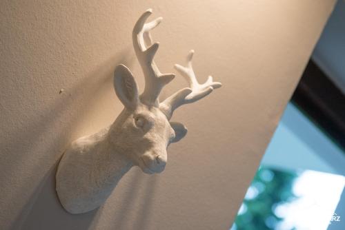 Auszeit-im-Harz Haus 3 Wohnung 1 - image 3