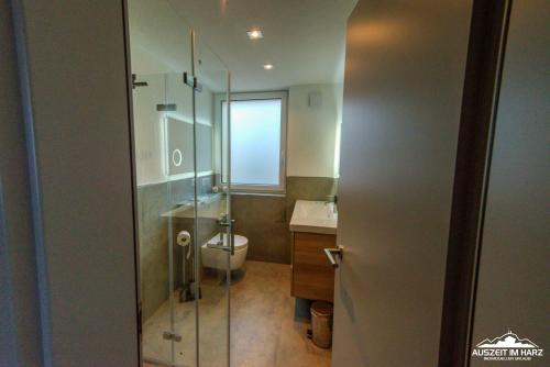 Auszeit-im-Harz Haus 3 Wohnung 3 - image 2