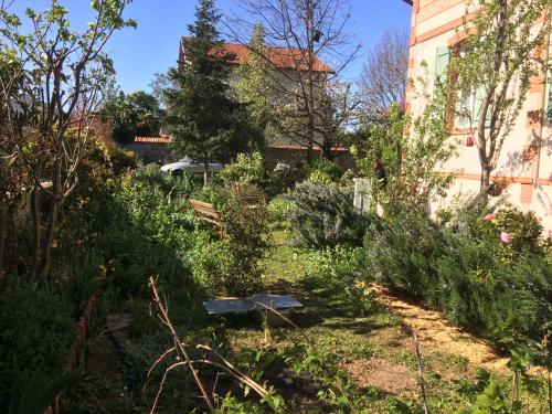 Villa Pierre, Toulouse (photo 8)